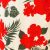 Tropical Floral